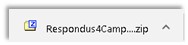 Respondus 4.0 Downloads